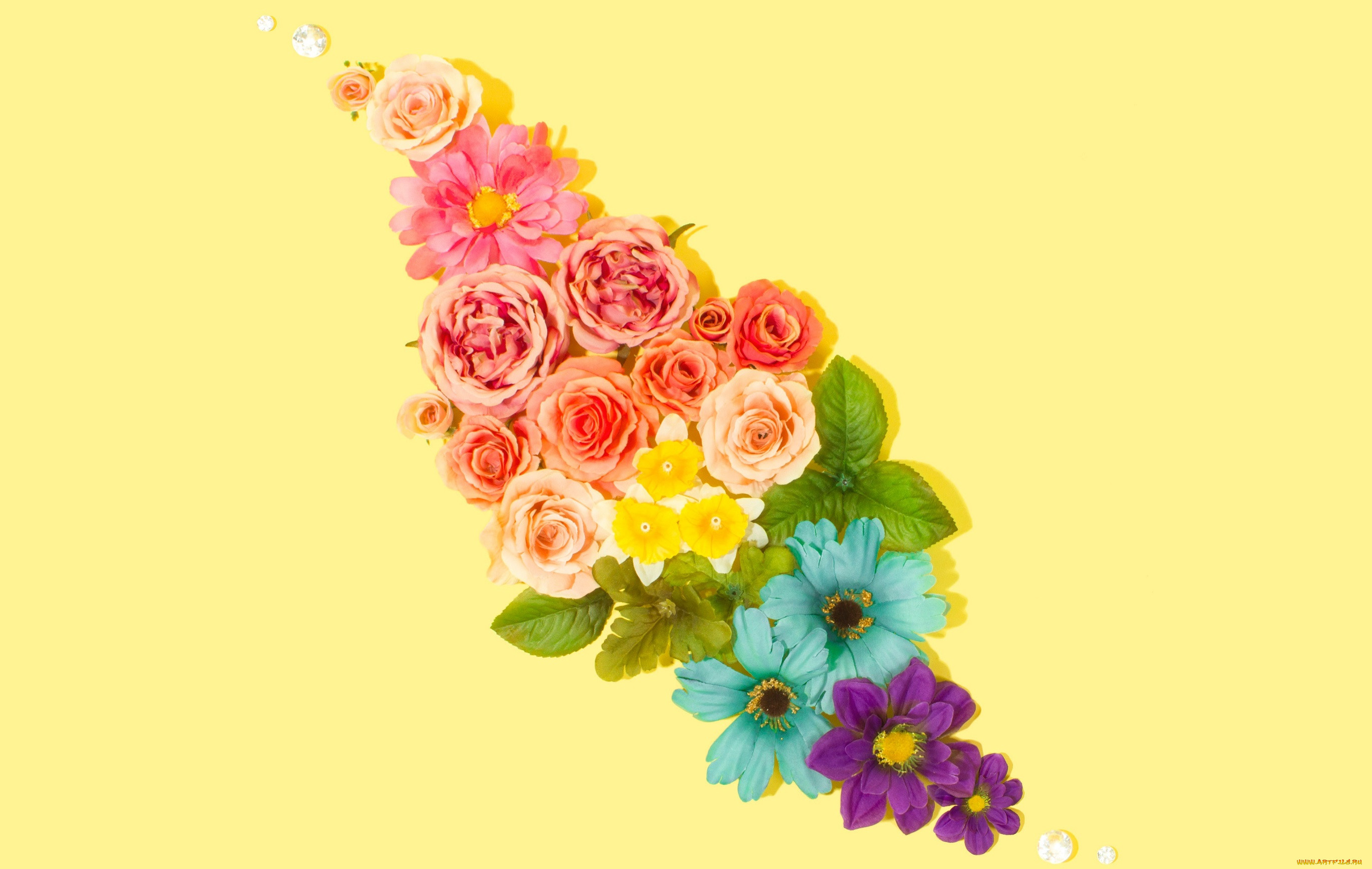 , ,  ,  , , , , flower